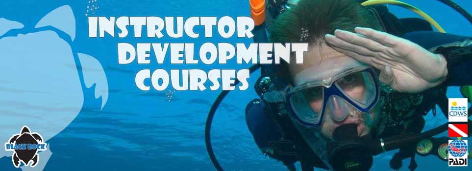 Instructor Development Courses